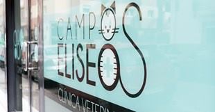 fachada-campos-eliseos